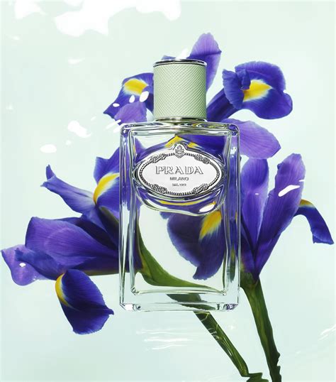 perfumes prada infusion d iris|Prada infusion d'iris 100ml.